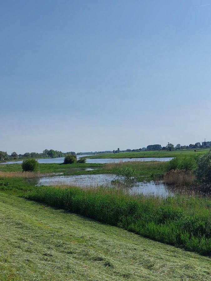 Boerderijkamer De Delle Wijhe Extérieur photo